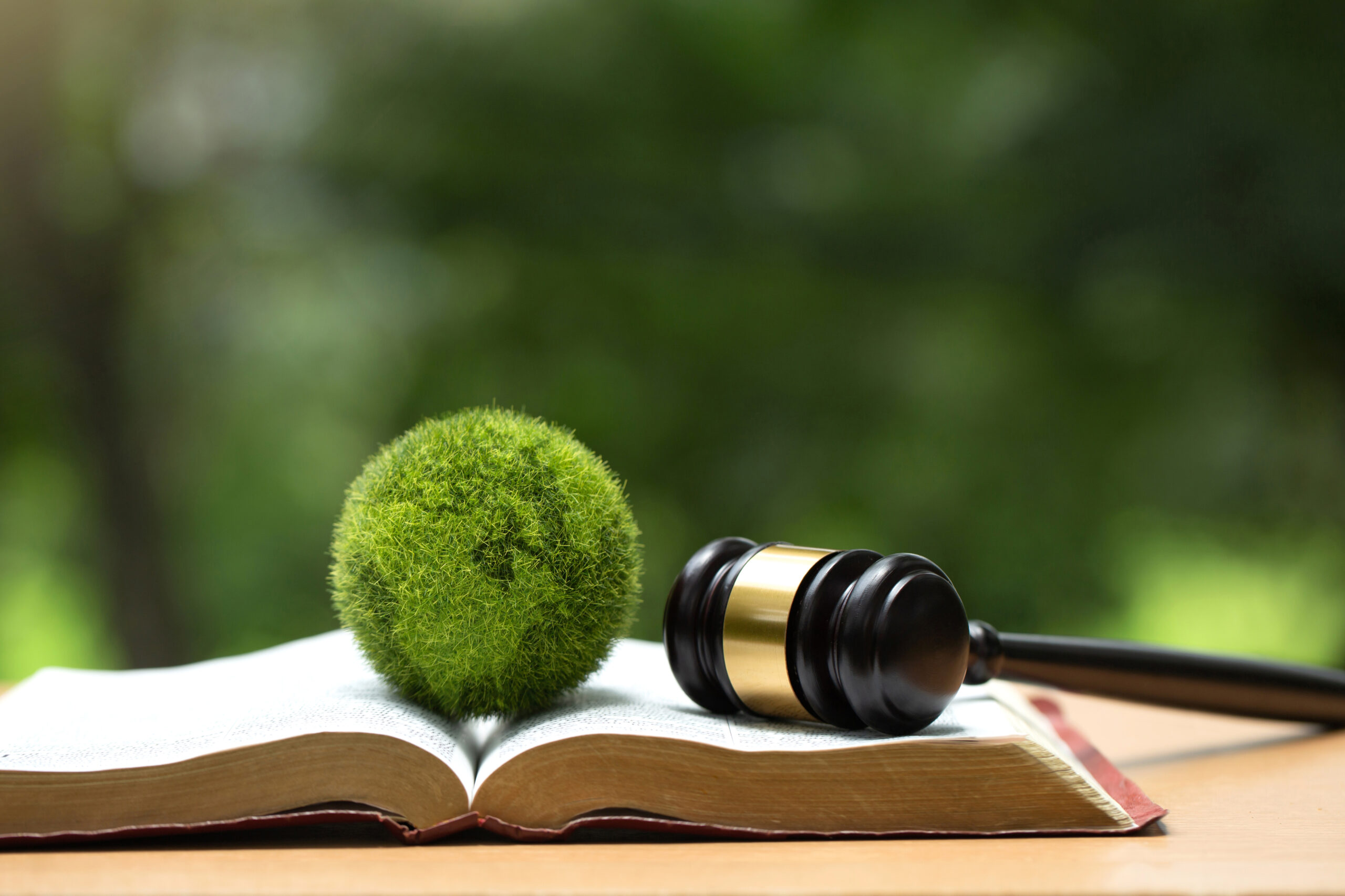 Environment Law. Green globe placed and gavel on a law book. law for principles of sustainable environmental conservation. environmental protection and eco-friendly legislation law. Save Earth.ESG